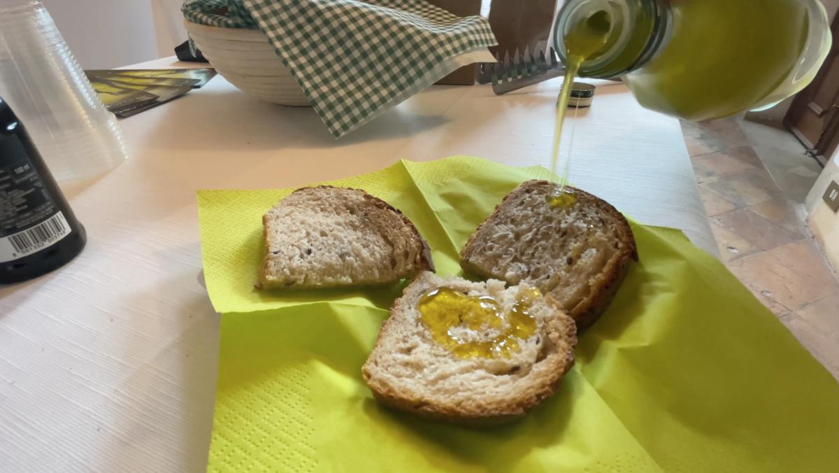 Mezzane, la capitale dell'Olio Mezzane, la capitale dell'Olio