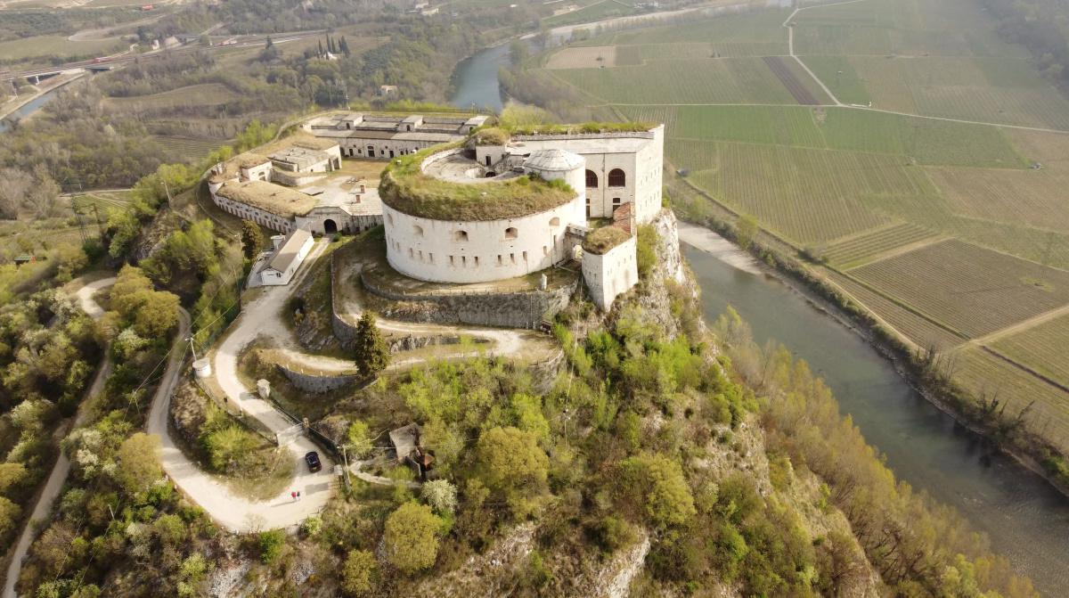 L'Asparago di Rivoli, tipicità da riscoprire