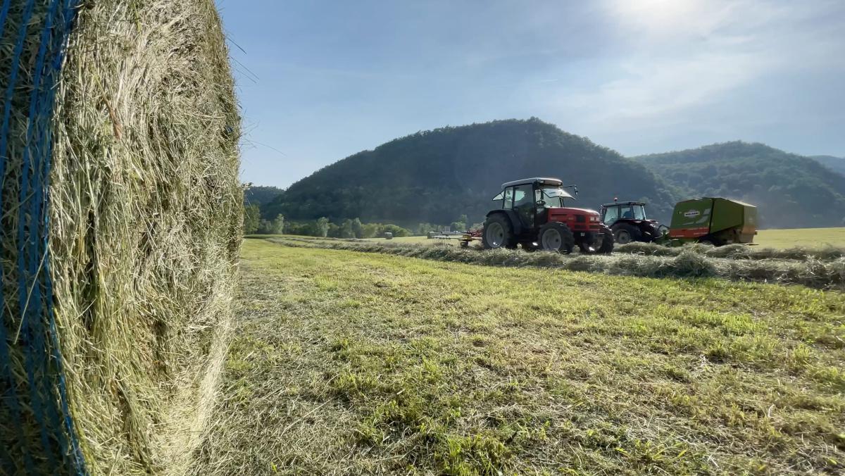 Quando l'Asiago dop nasce... in Villa!