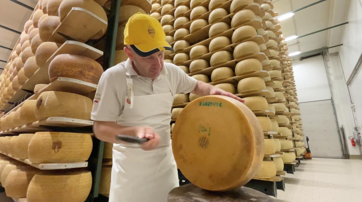 I Cordioli, quelli del Grana e... della Burrata! I Cordioli, quelli del Grana e... della Burrata!