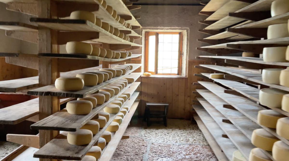 Omero, il custode di Malga Lessinia Omero, il custode di Malga Lessinia