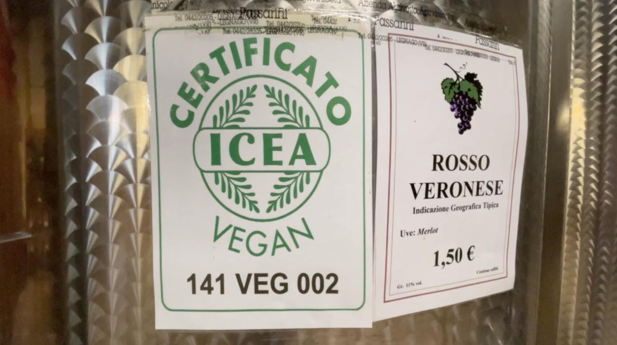 Il Vino del Contadino? Bianco, Rosso e... Vegano! Il Vino del Contadino? Bianco, Rosso e... Vegano!