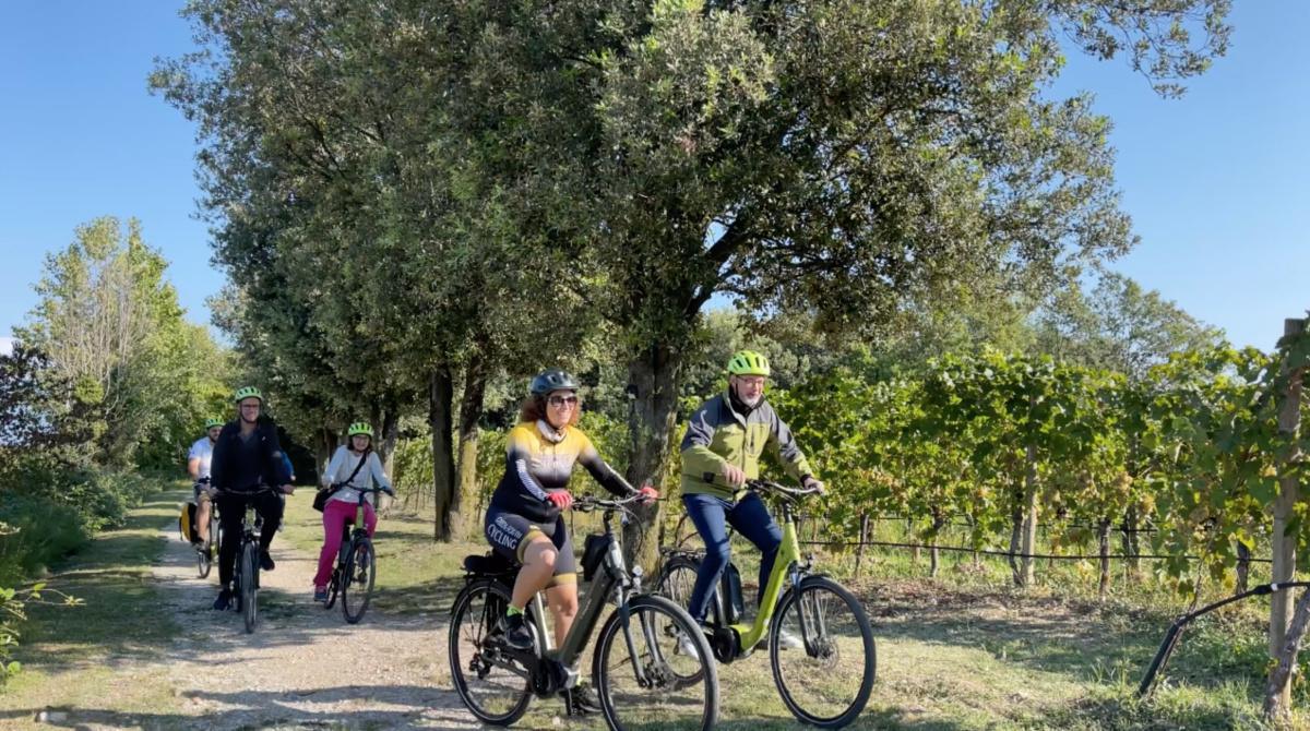 In E-bike sulle Colline Moreniche! In E-bike sulle Colline Moreniche!