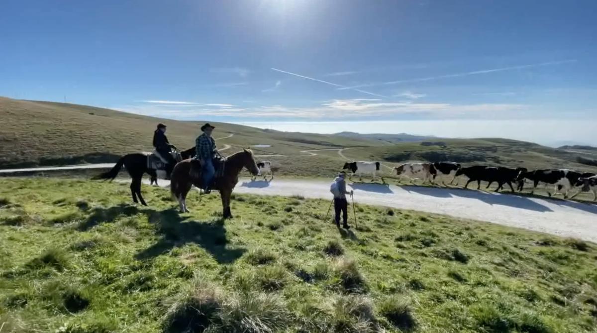 La Transumanza del Modesto, Simbolo della Lessinia La Transumanza del Modesto, Simbolo della Lessinia
