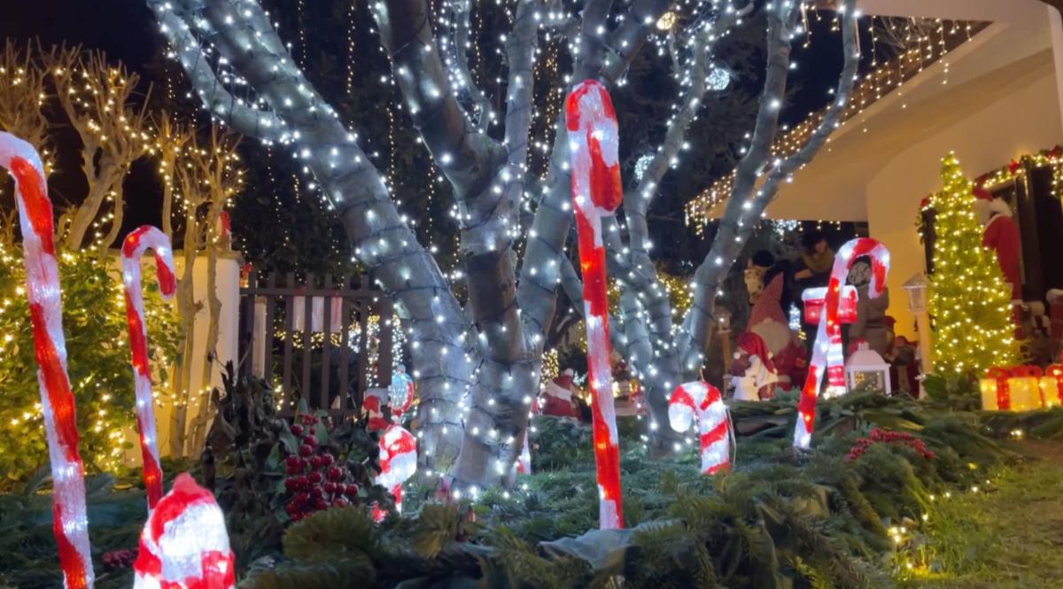 Il giardino di Natale con 70.000 lucette! Il giardino di Natale con 70.000 lucette!