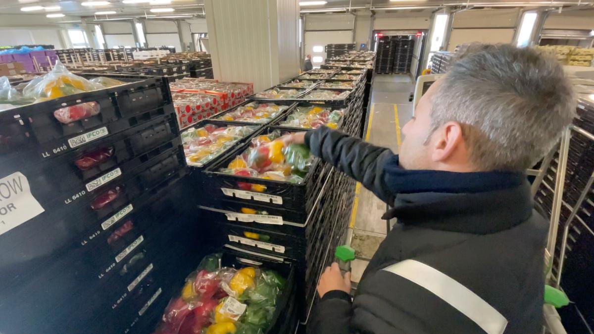 Villafrut, l'Ortofrutta in Prima Classe! Villafrut, l'Ortofrutta in Prima Classe!