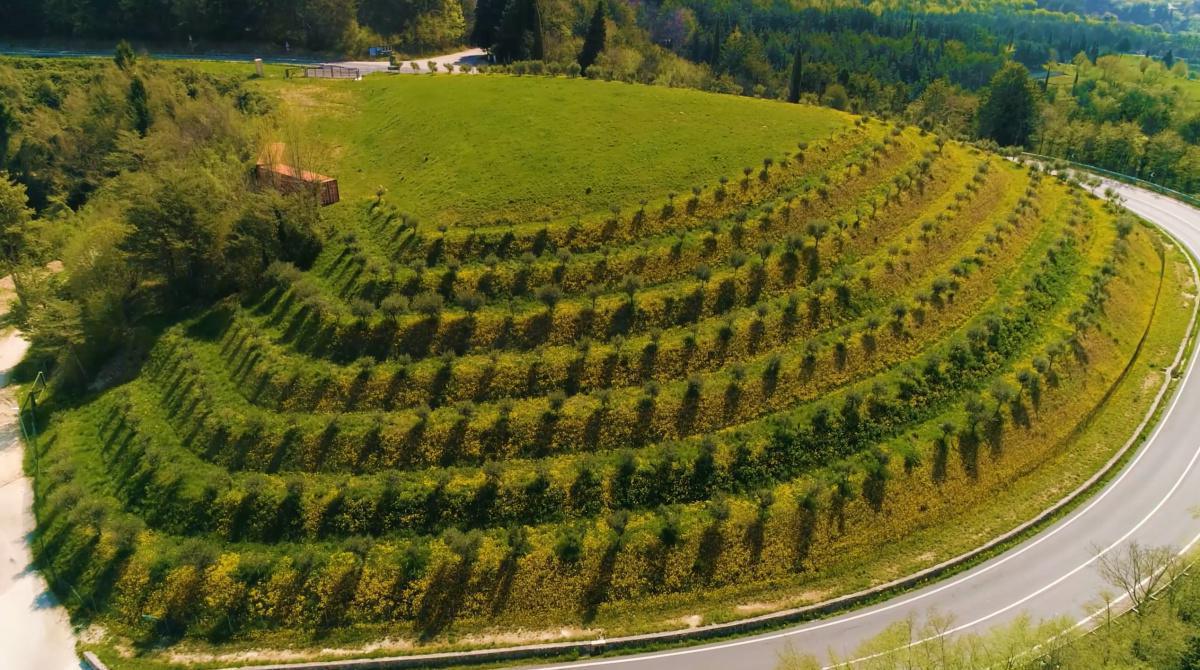 Daniele e l'olio "estremo" di montagna Daniele e l'olio "estremo" di montagna