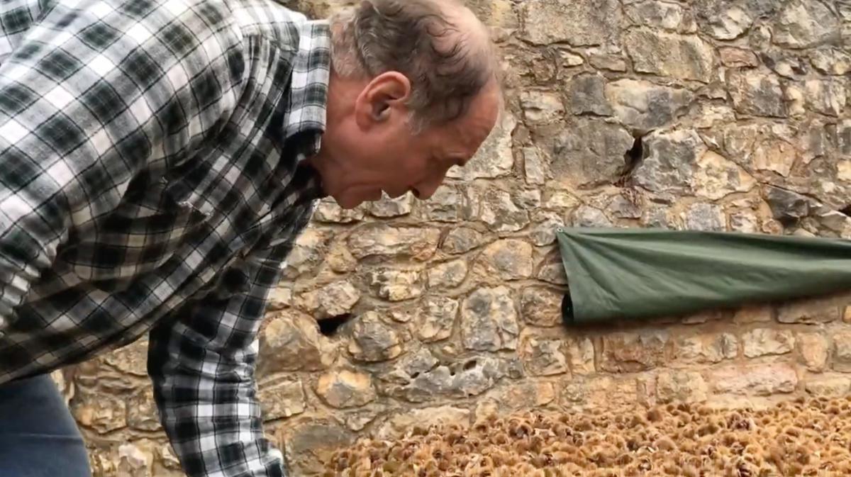 I "Marronari" di San Zeno di Montagna I "Marronari" di San Zeno di Montagna