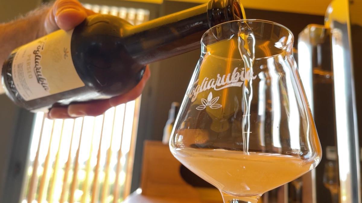 La birra ai grani antichi? Fra poco, una realtà! La birra ai grani antichi? Fra poco, una realtà!