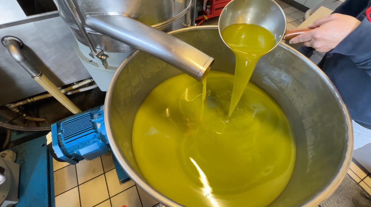 L'Olio di Malcesine, una storia ultrasecolare! L'Olio di Malcesine, una storia ultrasecolare!