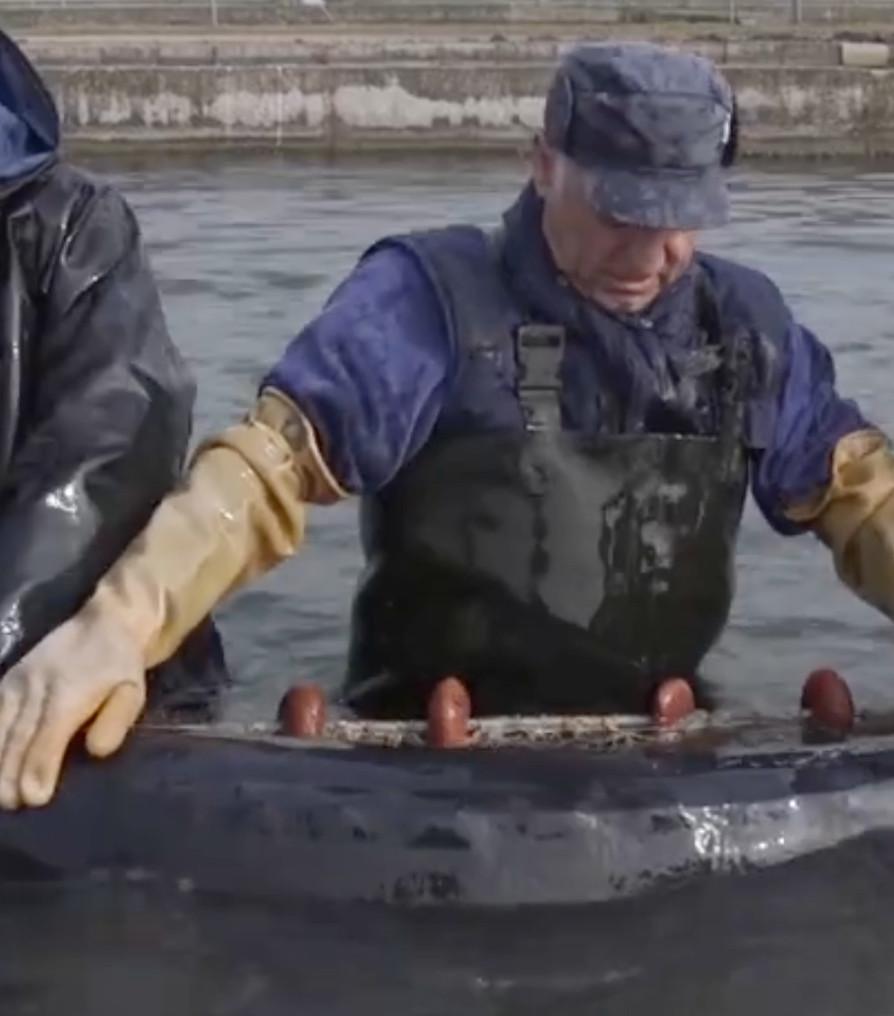 Per Corti e Cascine: il Caviale di Goito Per Corti e Cascine: il Caviale di Goito
