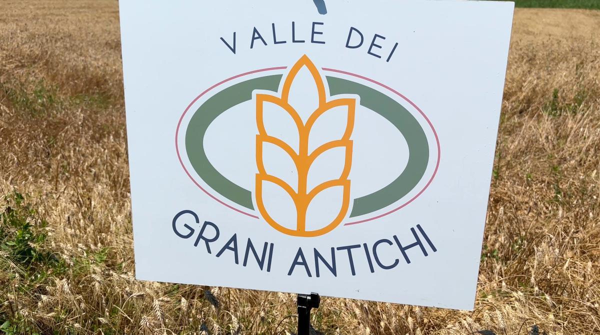Grani antichi, sfiziosità moderne! Grani antichi, sfiziosità moderne!