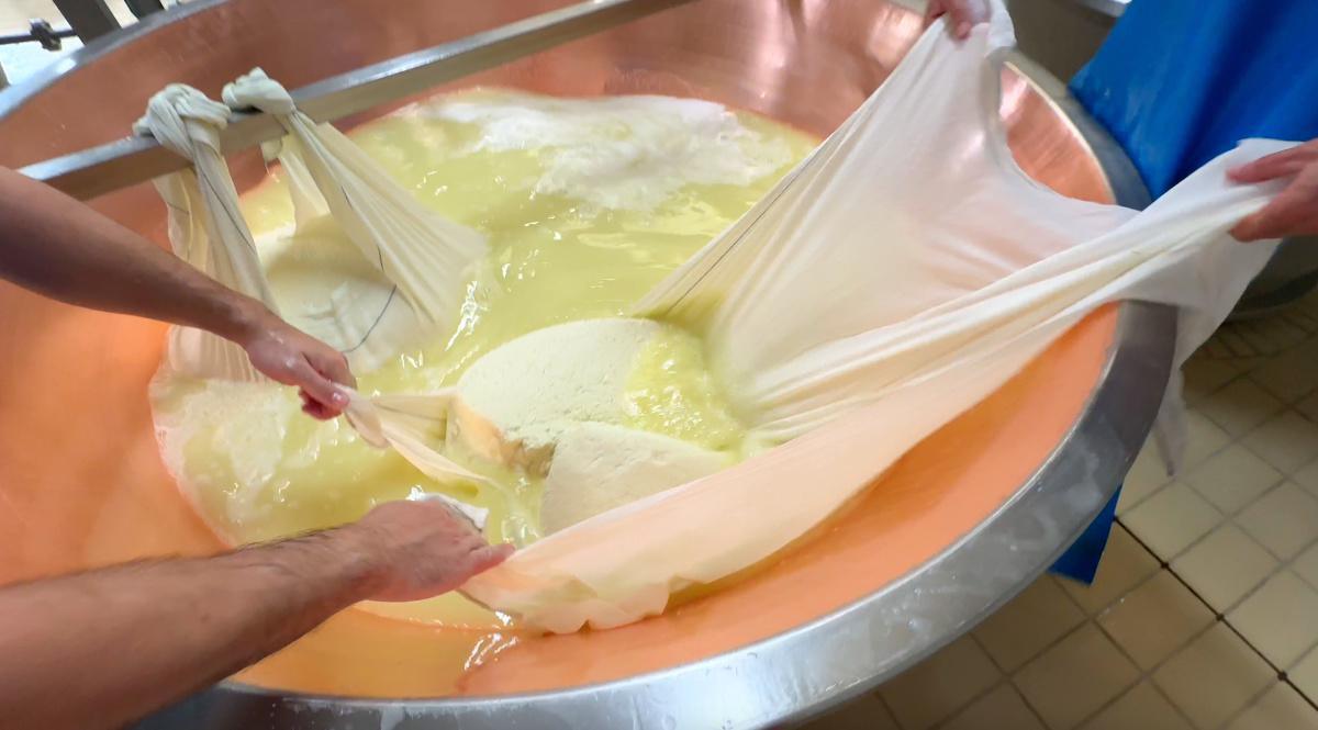 I Ghidetti di Isola Rizza, "quei del formajo!" I Ghidetti di Isola Rizza, "quei del formajo!"
