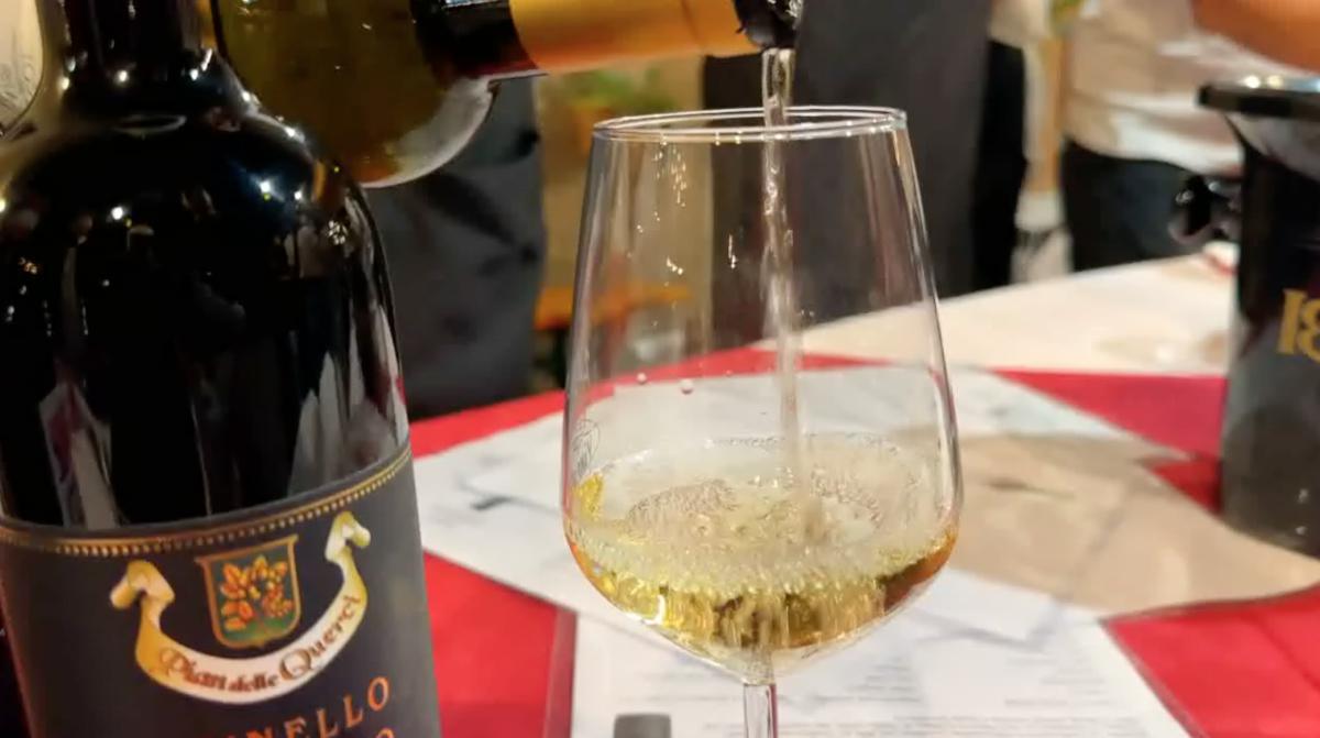 Vino in Corte a San Briccio: l'accoglienza qui è... in casa! Vino in Corte a San Briccio: l'accoglienza qui è... in casa!