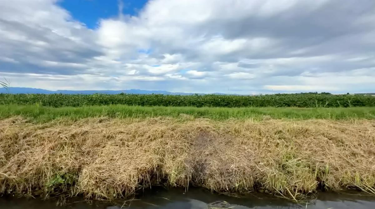 In canoa sul Bussè, il piacere della lentezza