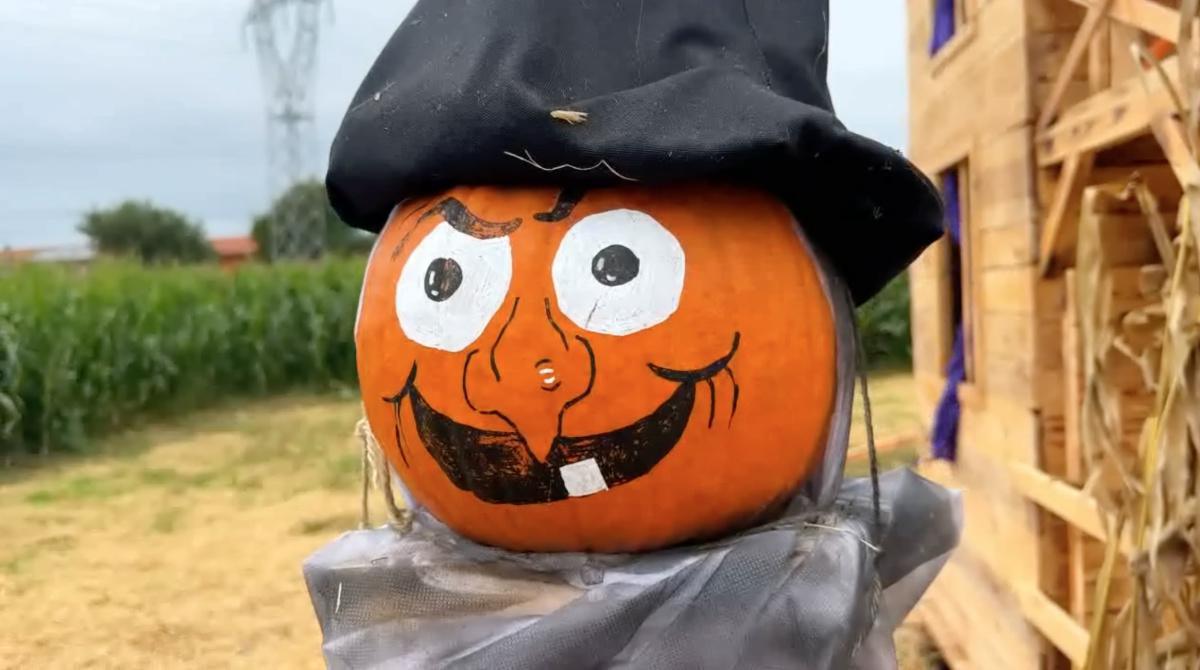 300.000 zucche nel villaggio di Nonno Andrea! 300.000 zucche nel villaggio di Nonno Andrea!