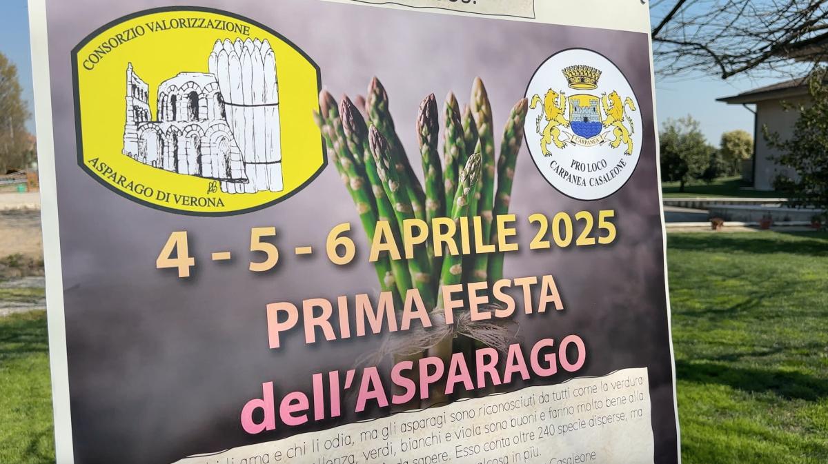 Gli asparagi e... la prima volta di Casaleone! Gli asparagi e... la prima volta di Casaleone!