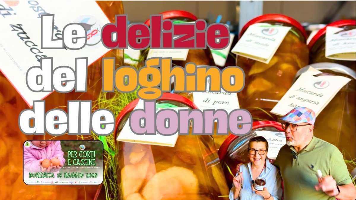 Tutte le delizie del loghino delle donne Tutte le delizie del loghino delle donne