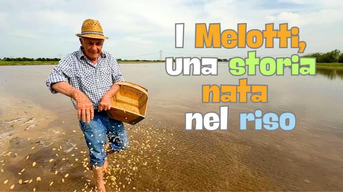 I Melotti, una storia nata nel riso I Melotti, una storia nata nel riso