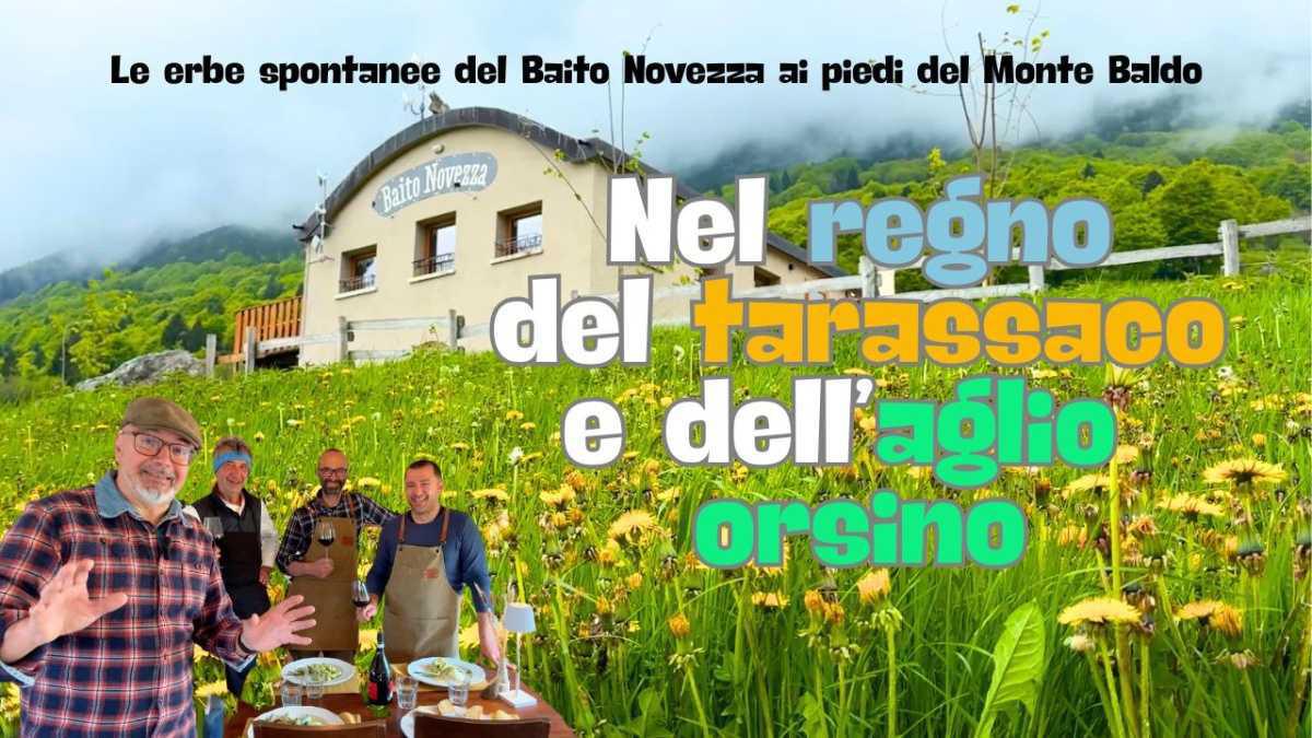 Baito Novezza, nel regno delle erbe spontanee Baito Novezza, nel regno delle erbe spontanee