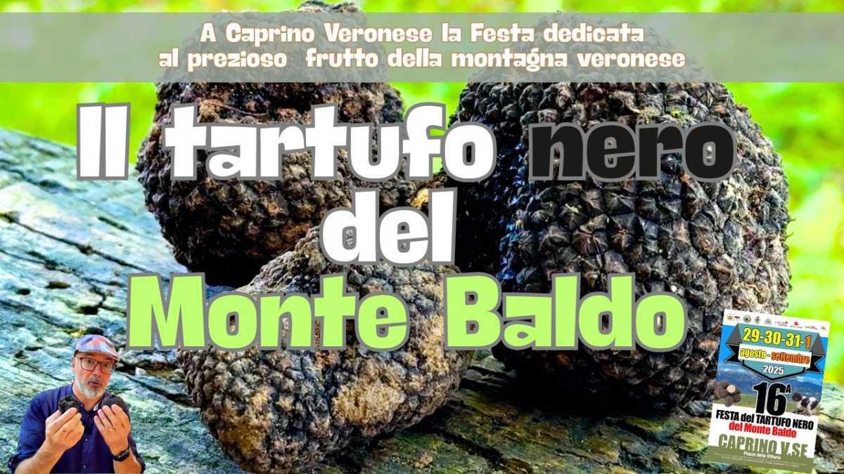 A Caprino Veronese arriva la Festa del Tartufo del Baldo! A Caprino Veronese arriva la Festa del Tartufo del Baldo!