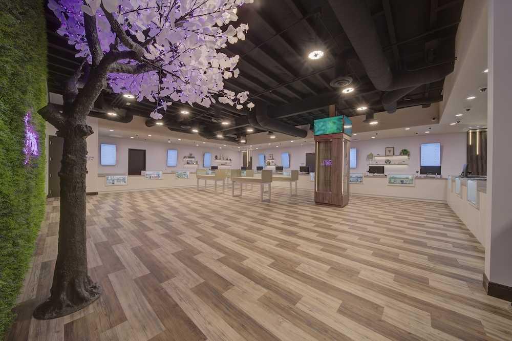 Green Dispensary is proud to announce that they are back on Kickback! 3 convenient locations throughout the Vegas/Henderson valley and $20 kickbacks. Thanks for the business. Green Dispensary is proud to announce that they are back on Kickback! 3 convenient locations throughout the Vegas/Henderson valley and $20 kickbacks. Thanks for the business.