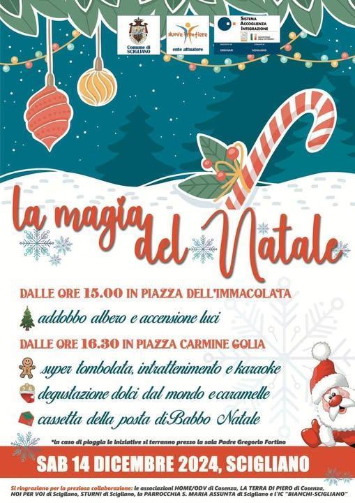 Addobbo Albero e accensione luci (inizio ore 15:00)