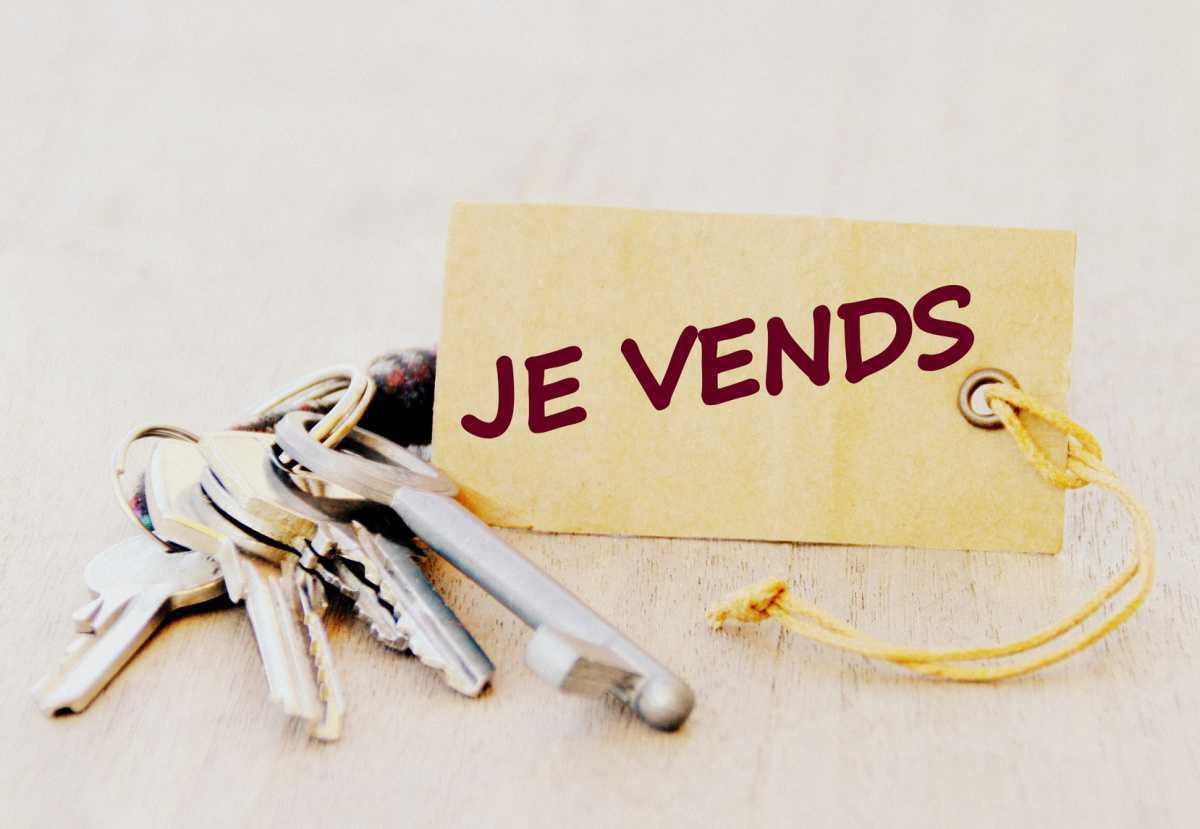 Bien vendre son logement. Leçon 1. Bien vendre son logement. Leçon 1.