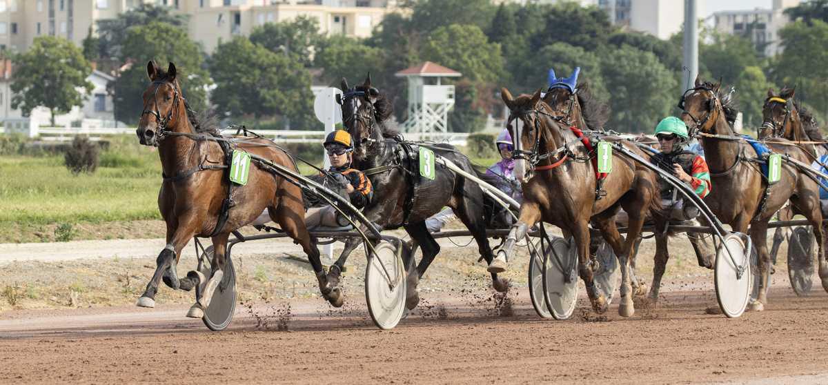 Rencontre à l’hippodrome de Toulouse Rencontre à l’hippodrome de Toulouse