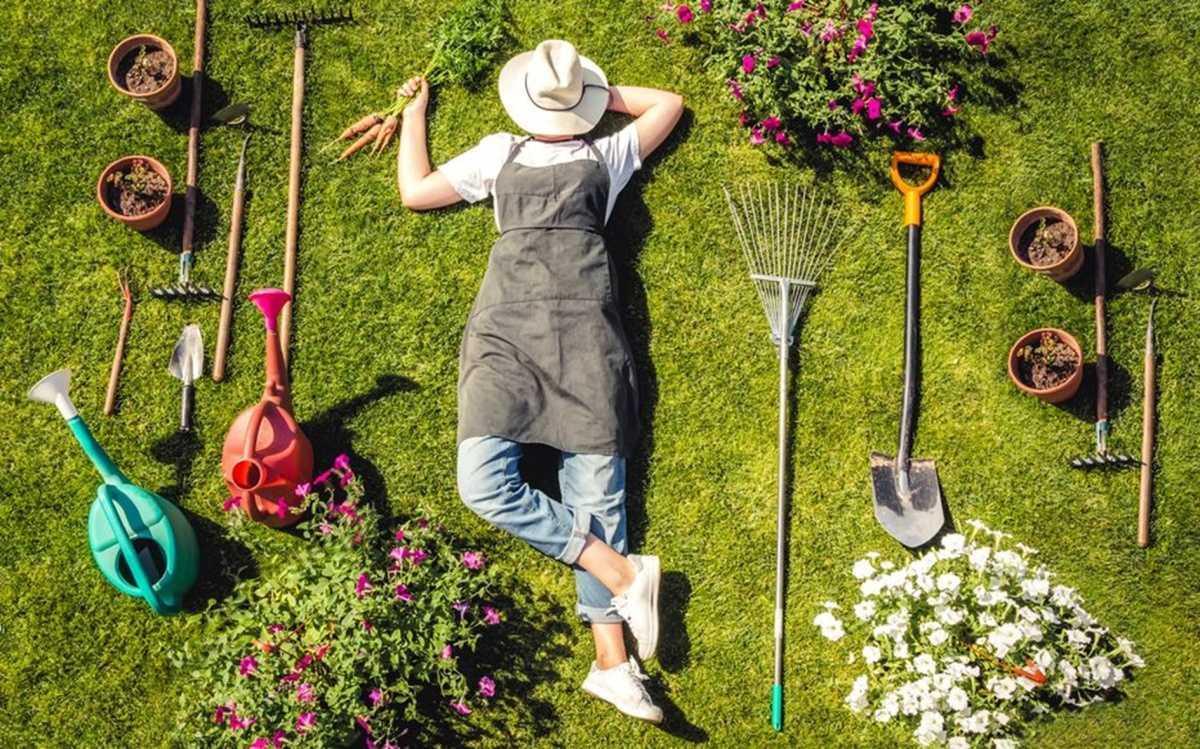 Cultivez votre jardin sans vous ruiner