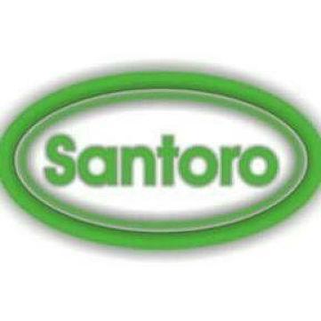 Santoro abbigliamenti snc 