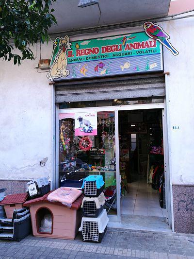  Il regno degli animali