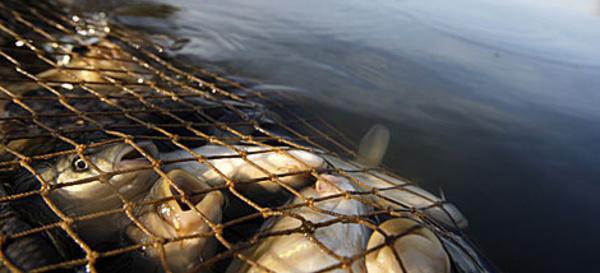 § 092. ciento cincuenta y tres...