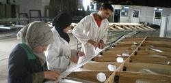 Asma Mayouf, Imen Said Kouadri et Abdelhadi Troudi