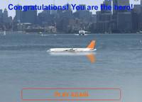 Devenez le héros du crash de l'Hudson river