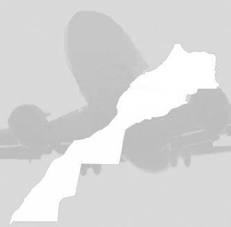 Le Maroc fait son chemin dans l'aviation