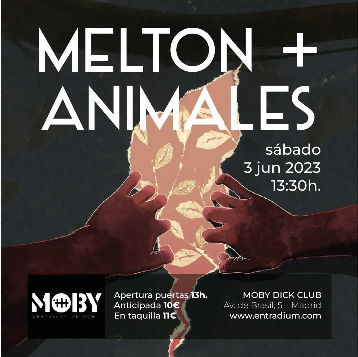 MELTON + Animales en Sesión Vermut