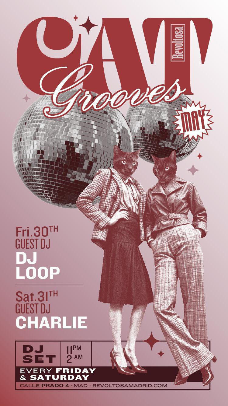 CAT GROOVES - DJ LOOP SET