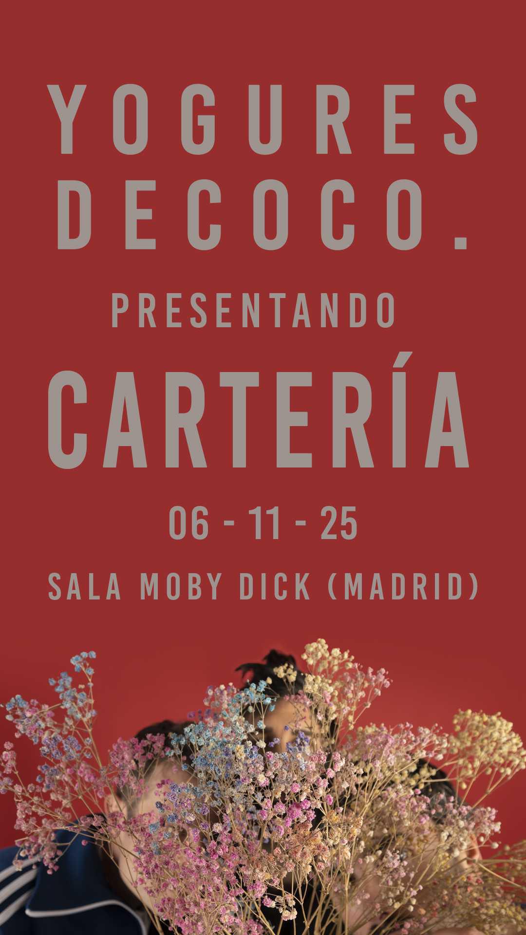 YOGURES DE COCO YOGURES DE COCO