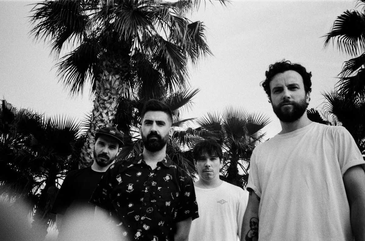 AVIDA DOLLARS + GYOZA + TYLD AVIDA DOLLARS + GYOZA + TYLD