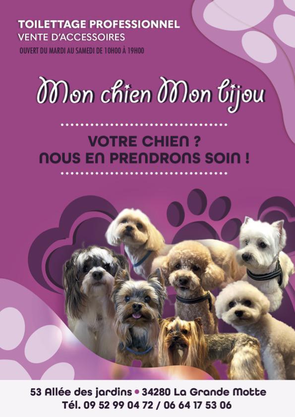 MON CHIEN MON BIJOU - Toilettage Professionnel / Accessoires / Croquettes