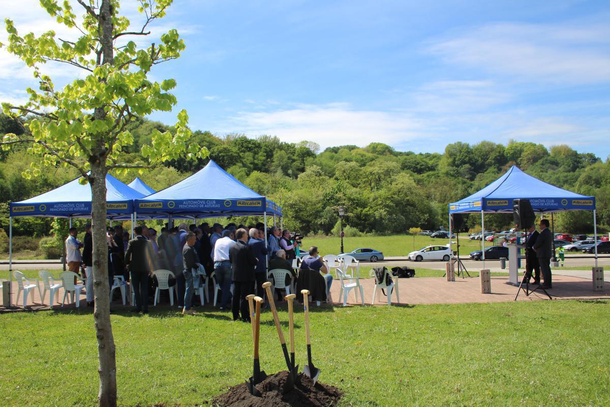 Nacimiento del Bosque del Rally Nacimiento del Bosque del Rally