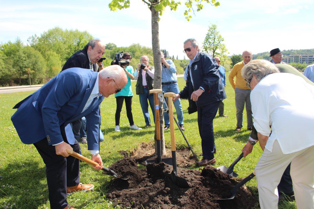 Nacimiento del Bosque del Rally Nacimiento del Bosque del Rally