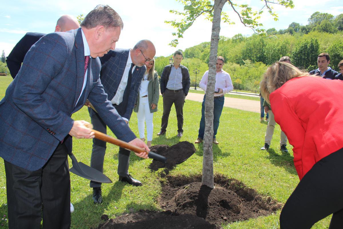 Nacimiento del Bosque del Rally Nacimiento del Bosque del Rally