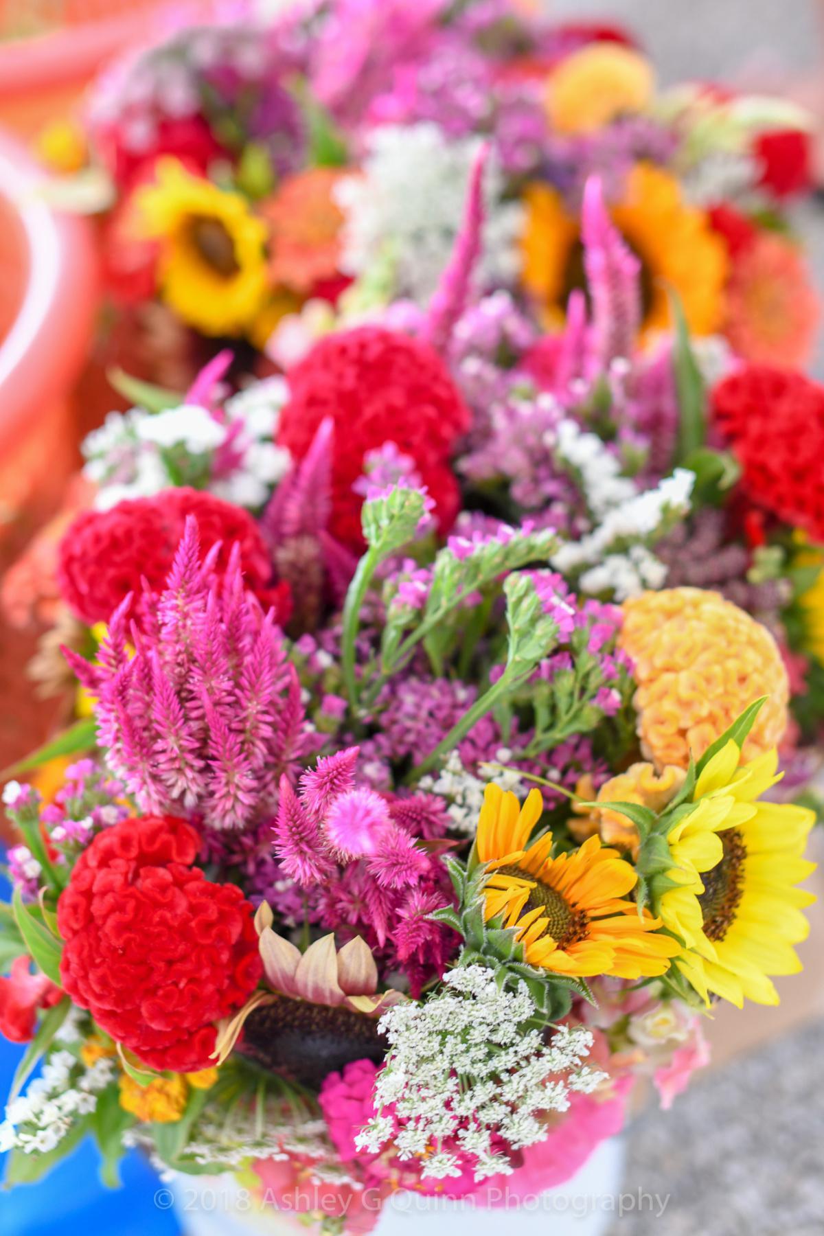 Variety - Not Just Veggies - at Boyd Farmers Market