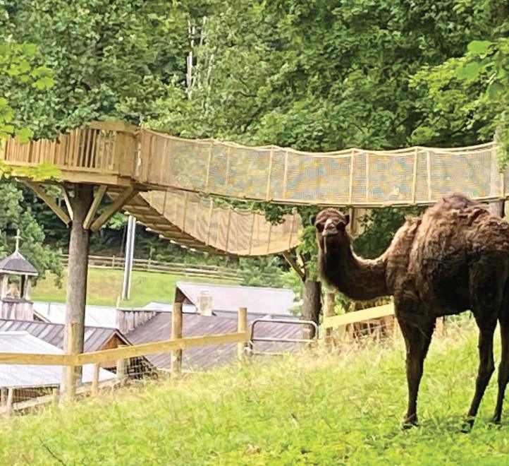 Treetop Adventures at Heritage Farm