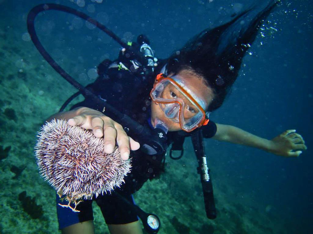 Reussir Ma Premiere Plongee Sous Marine Sans Peur
