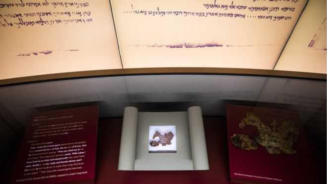 متحف الكتاب المقدس يقول إن خمسا من مخطوطات البحر الميت مزيفة متحف الكتاب المقدس يقول إن خمسا من مخطوطات البحر الميت مزيفة