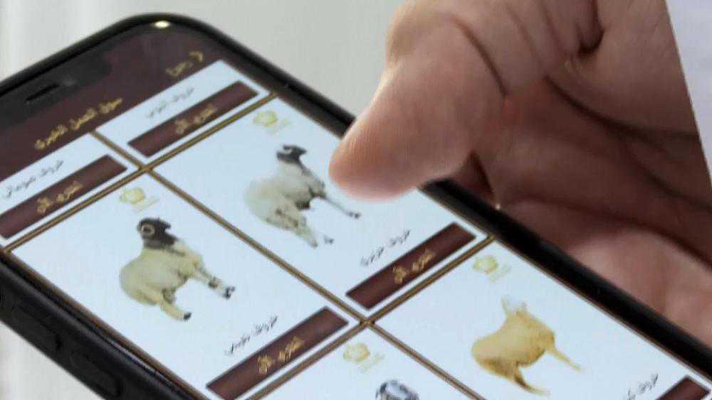 تشجيع على استخدام التطبيقات الذكية لطلب أضاحي العيد في دبي