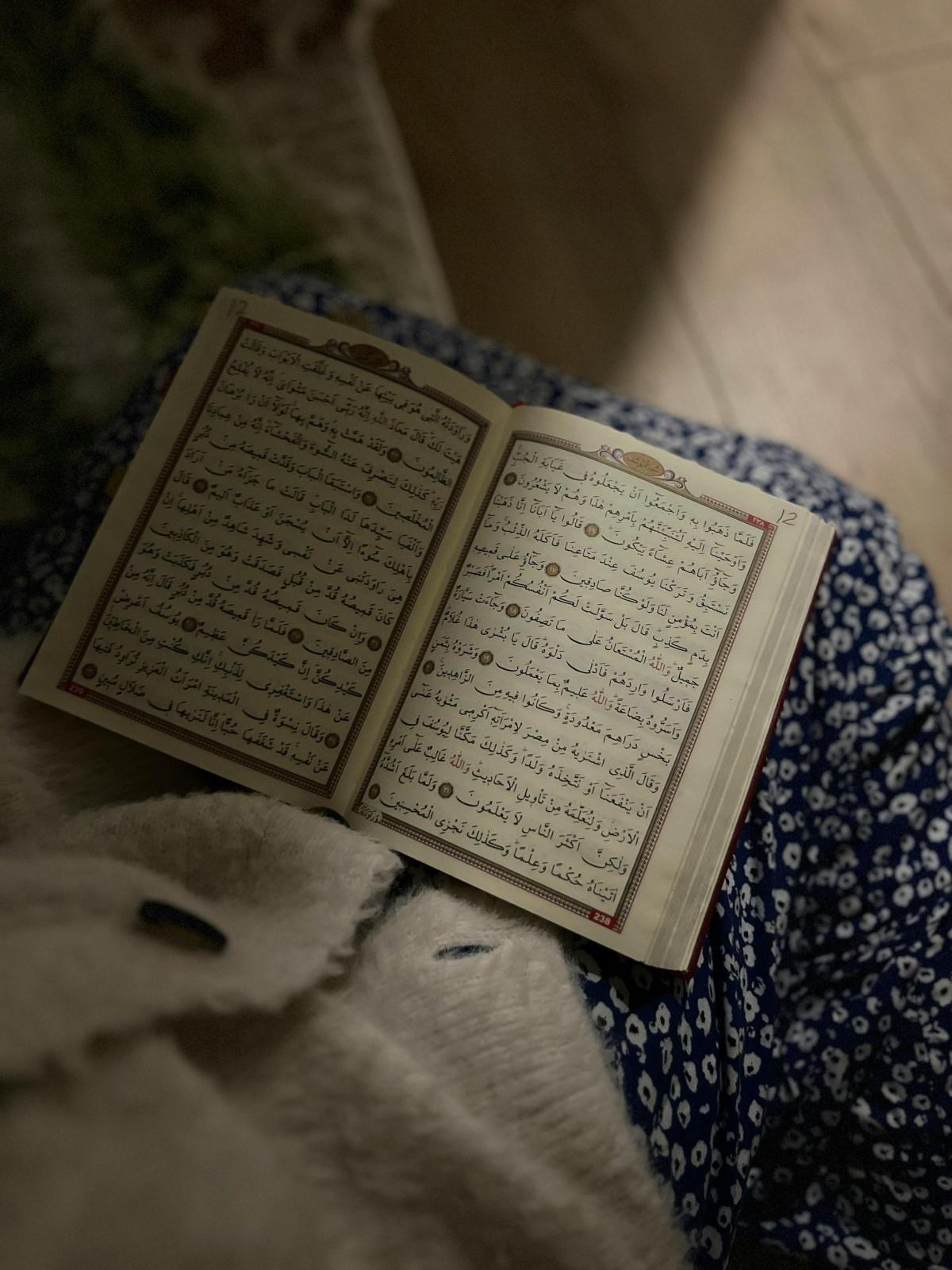 هل المخاوف من "قانون موازٍ" للشريعة الإسلامية مبررة بعد حكم المحكمة النمساوية؟